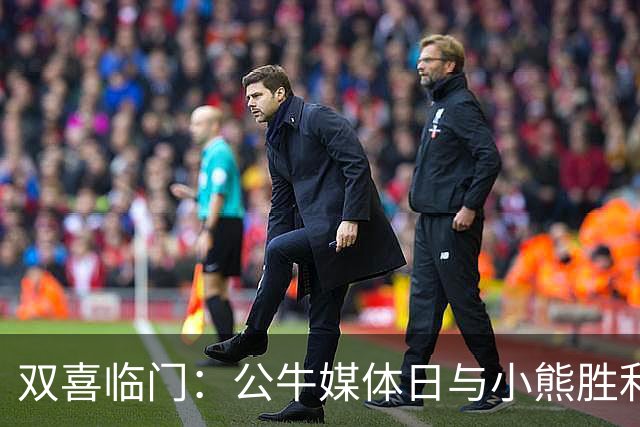 双喜临门：公牛媒体日与小熊胜利激励球迷